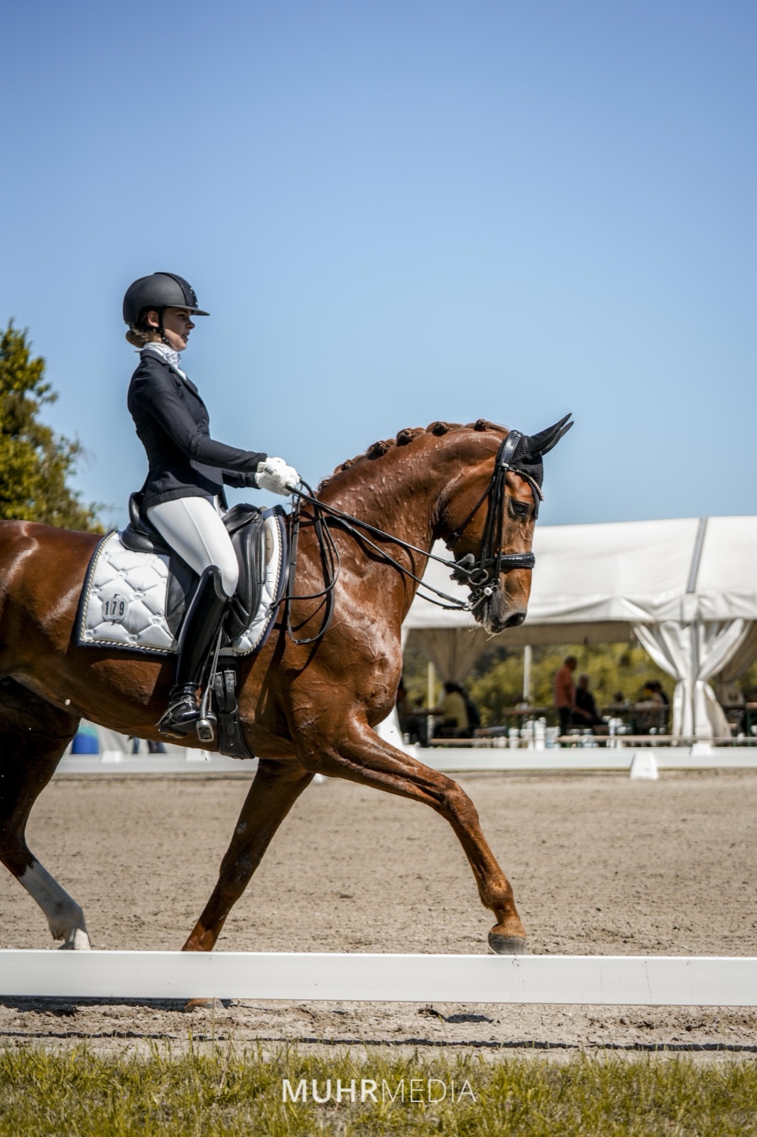 Reitsport & Turniere